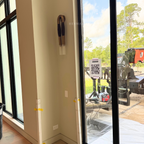 Double Head Antonia Horsehair Sconce